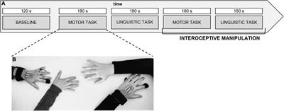 Autonomic synchrony induced by hyperscanning interoception during interpersonal synchronization tasks